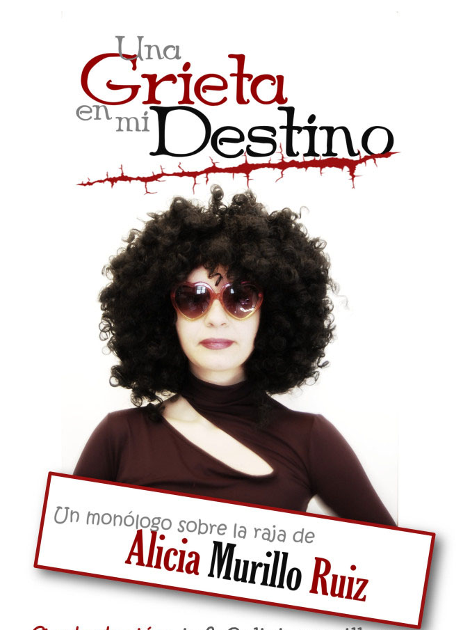 alicia murillo una grieta en mi destino 1